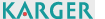 N Logo